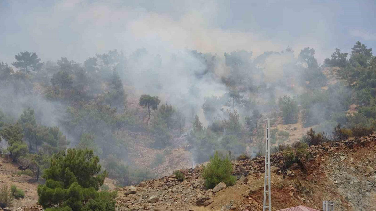 Adıyaman’da orman yangını