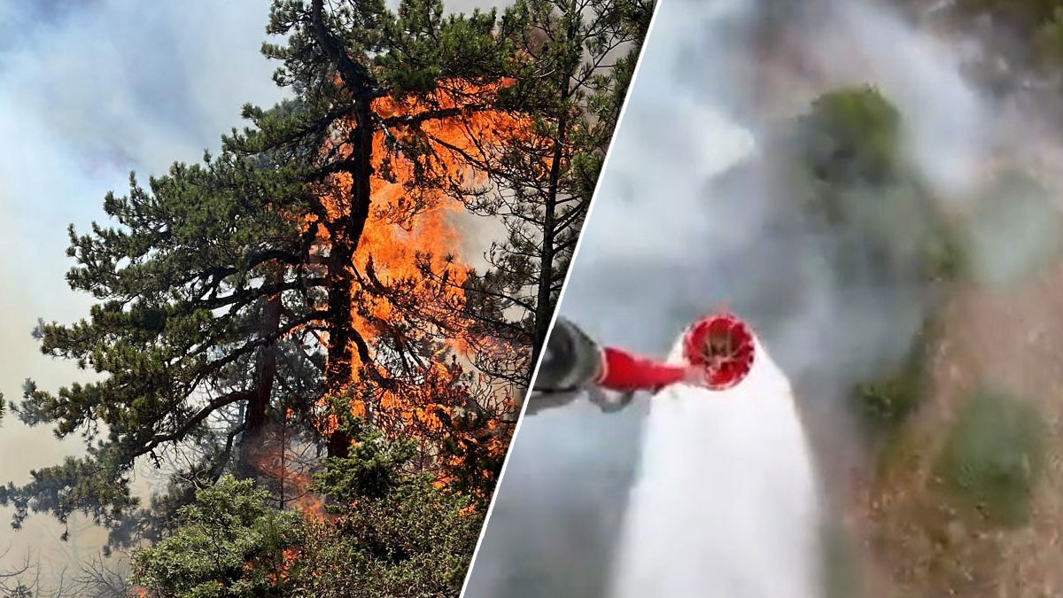 Konya’daki orman yangını ikinci gününde