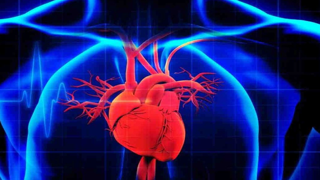 Dünyanın en büyük görüntüleme projesi tamamlandı: Kalpten beyne 100 bin tarama