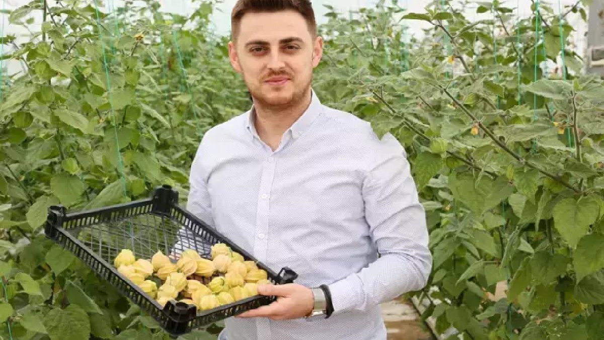Önce çiçeği açıyor, meyvesini içinde saklıyor! Gramı 15 TL’den satılıyor, paketi para saçıyor