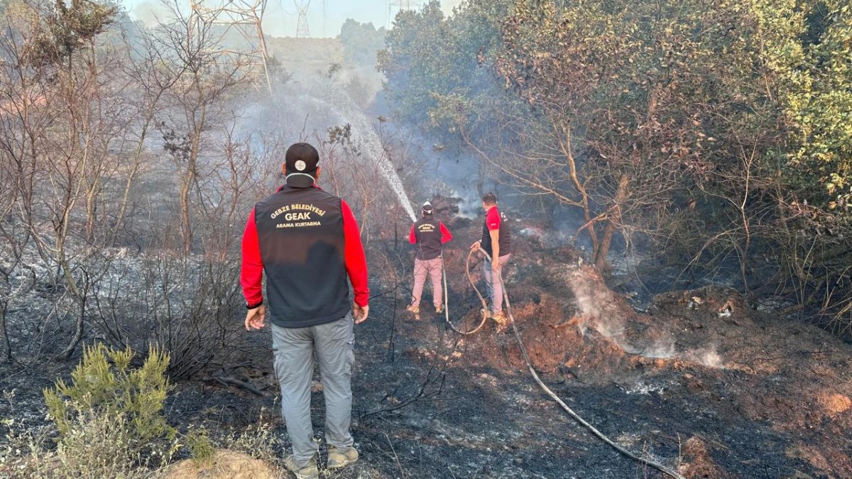 Kocaeli'deki orman yangını kontrol altına alındı