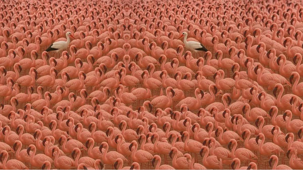 Bu test viral oldu! Yalnızca %2’lik kesim geçebildi: Flamingolar arasında kaybolan leylek nerede?