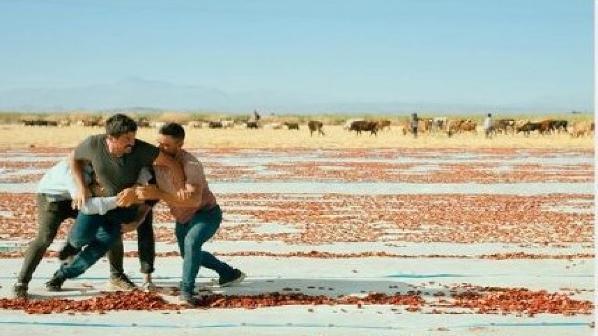 ‘Sınıfsal öfke’miz Oscar adayı