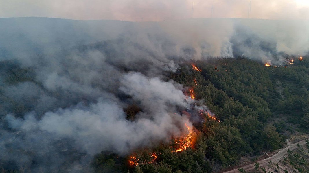Tekirdağ’da başlayan orman yangını Çanakkale’ye sıçradı: Müdahale devam ediyor
