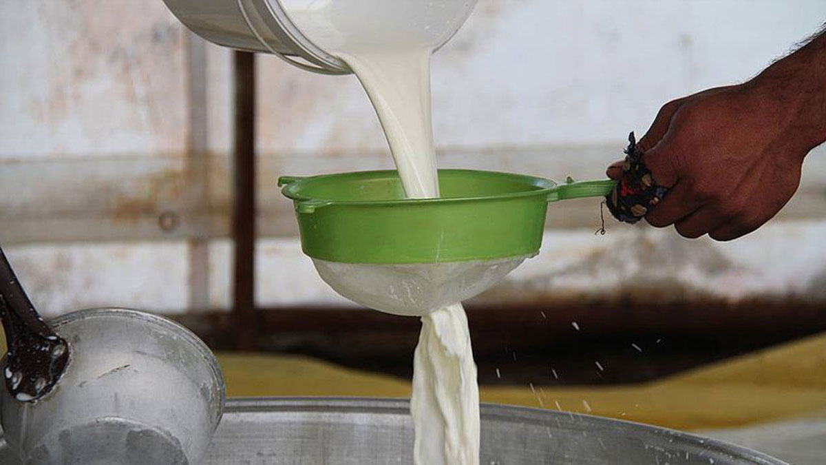 Çiğ süt fiyatlarına zam