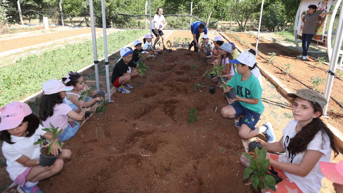Çocukları doğayla buluşturan proje: Minik eller hem toprakla bağ kuruyor hem de sağlıklı ürünler yetiştiriyor