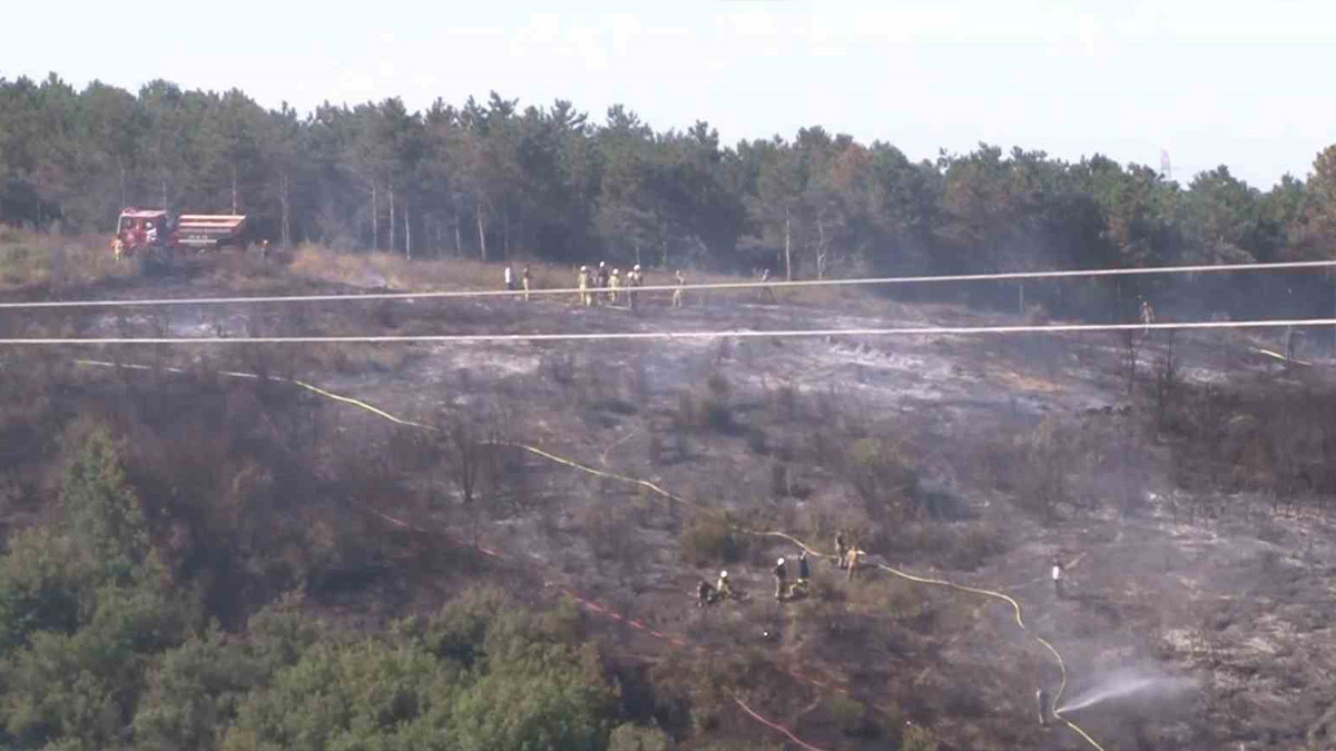 Sultangazi Kent Ormanı’nda yangın