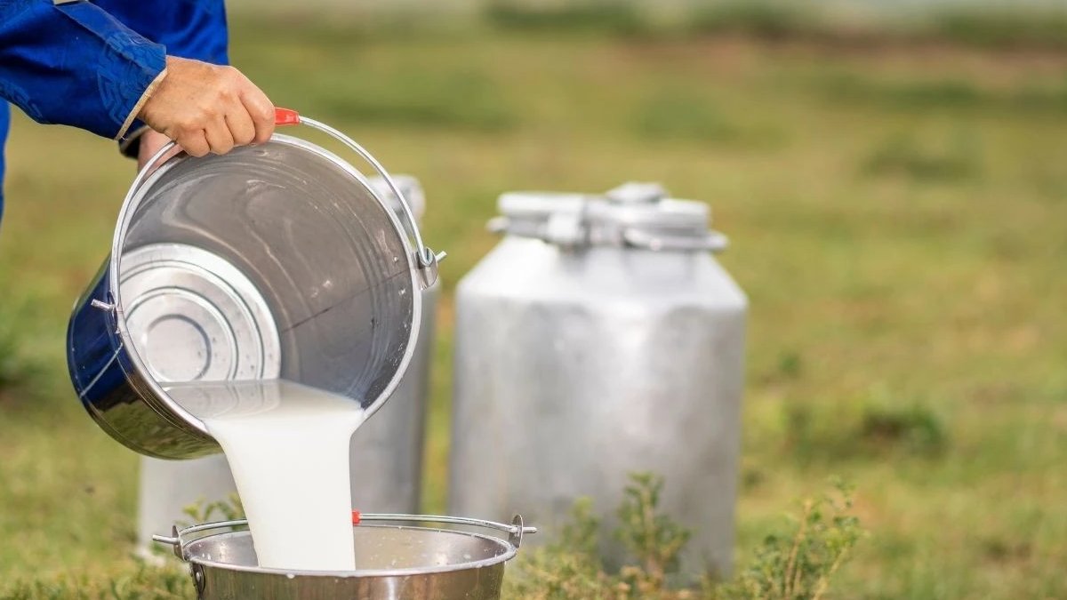 Süte 'gizli zam' uyarısı! Yeni fiyat belli oldu, milletvekili İsyan etti