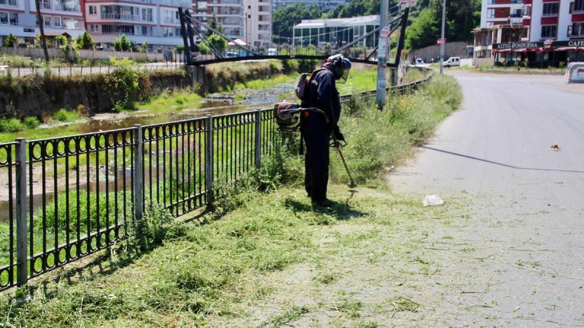 "Yeşile değer veriyor, şehrimizi güzelleştiriyoruz"