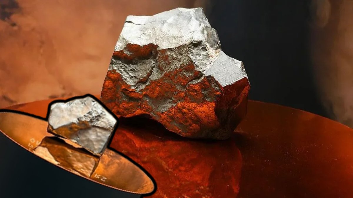 Uzaydan geldi, milyonlarca dolara satıldı! Dünya’ya ulaşan en büyük Mars meteorunu bakın kim aldı