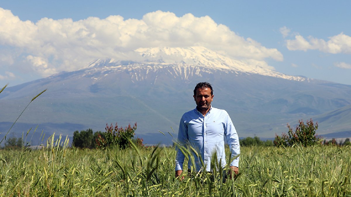 Hayvanlarına yem ararken aklına geldi, kimse yapamazsın dedi! 1500 kamyon taşıdı ama çabaları sonuç verdi!