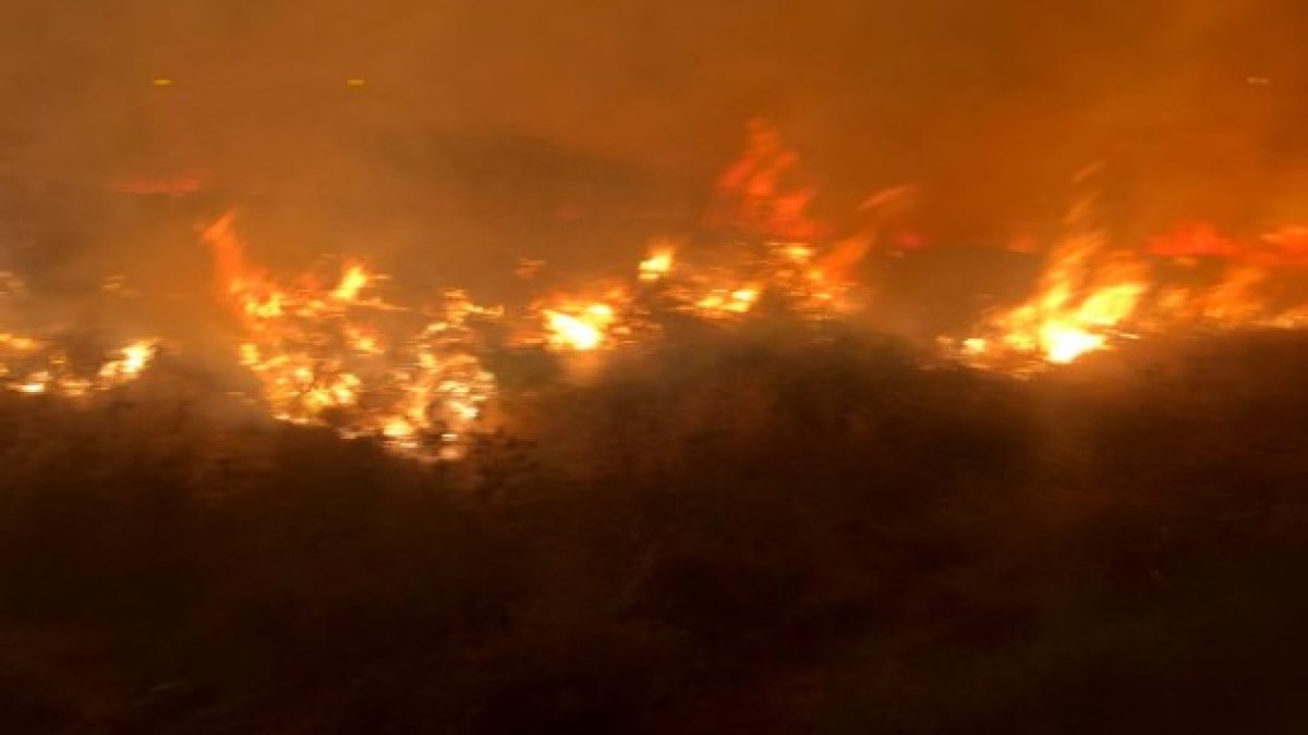 Beylikdüzü'nde boş arazide yangın paniği: Alevler kısa sürede kontrol altına alındı