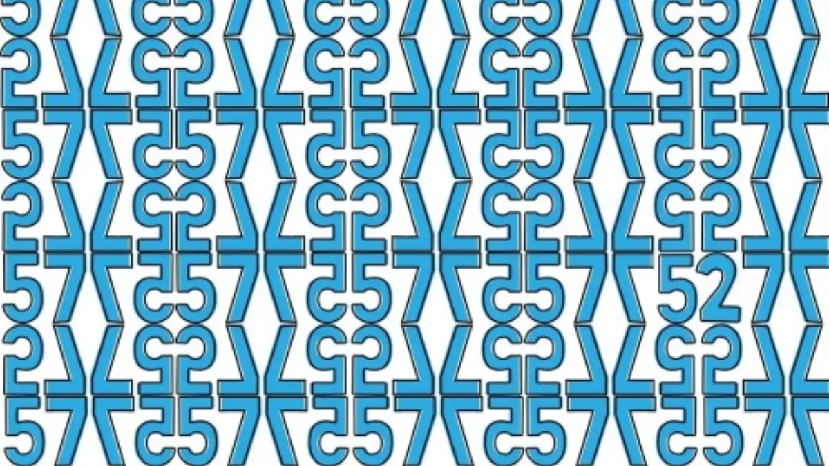 Gizli tek sayıyı bulabilir misin? Yalnızca Einstein’ine arkadaş olanlar bulabiliyor