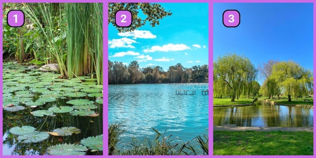 Kişilik testi: Çok çalışkan mısın yoksa sakinliğin ustası mısın? Bir gölet seç!