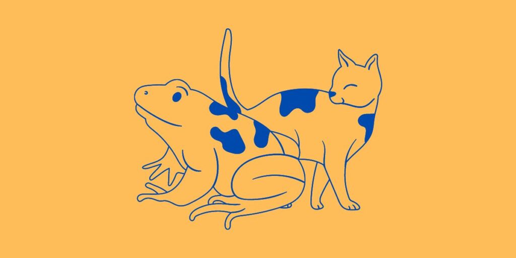 Kişilik testi: Doğal olarak meraklı mı yoksa ilgisiz mi olduğunuzu keşfedin! İlk izleniminiz her şeyi ortaya koyuyor!