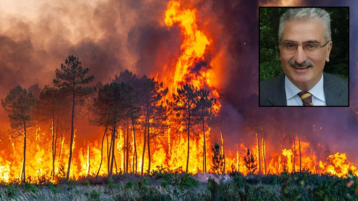 Faruk Çebi'den ormancı şehitlerine vefa: Daha yeşil bir dünya için canlarını verdiler
