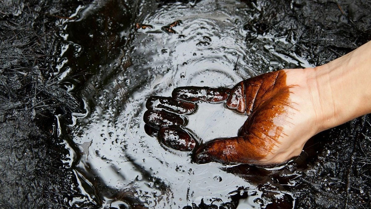 Deha işi: MIT mühendisleri, petrol ayrıştırmasında imkansızı başardı! Çevre dostu enerjiye büyük katkı