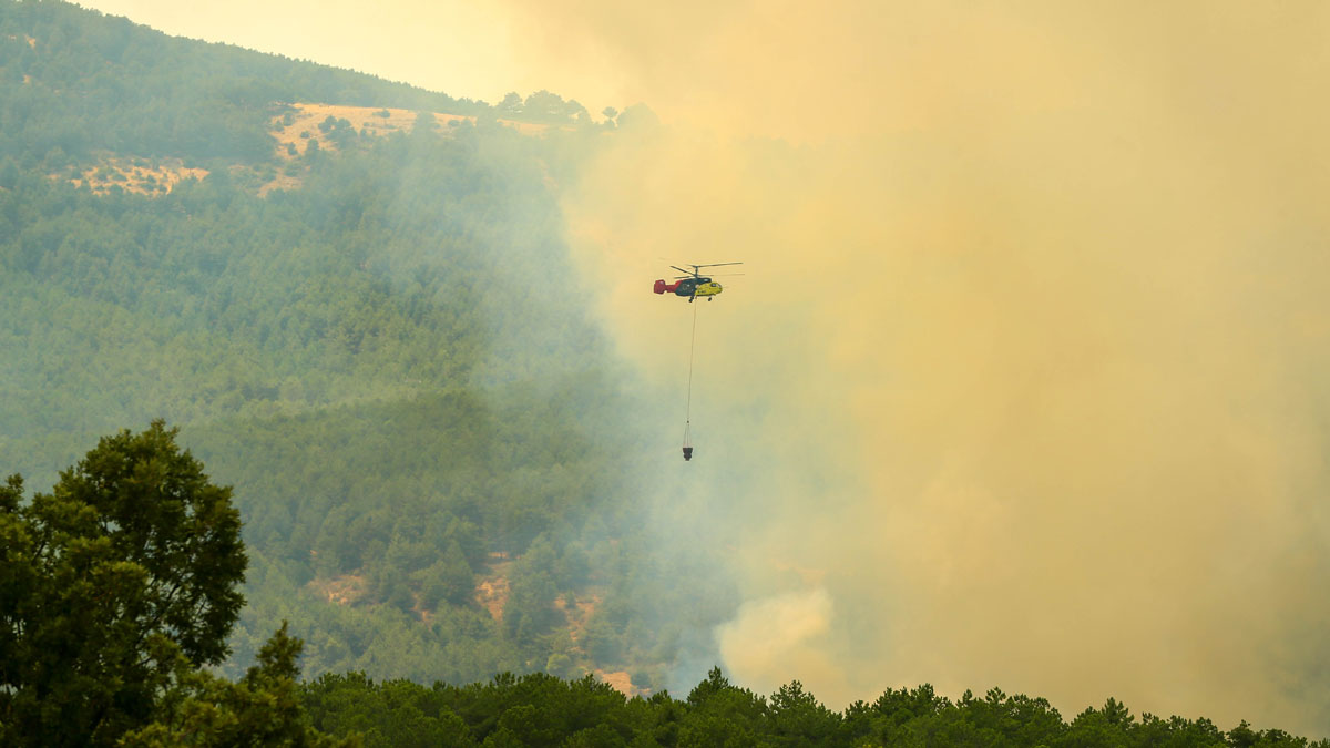 Uşak'ta orman yangını