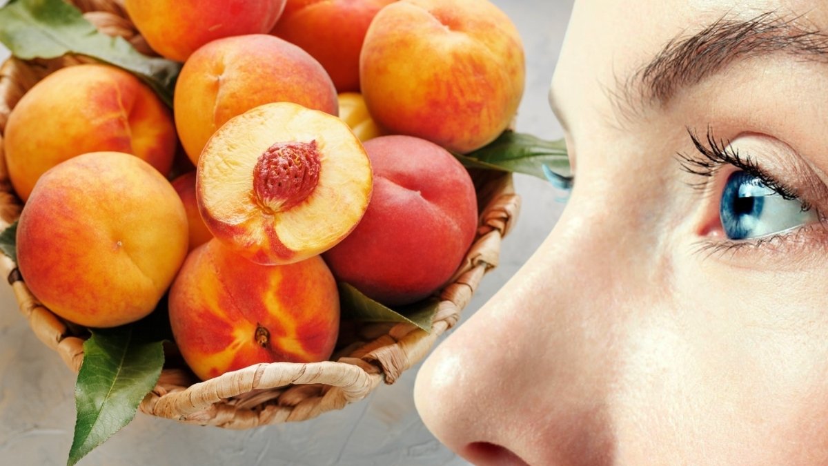 Uzmanlar öve öve bitiremiyor, faydasını duyan pazara koşuyor! Göz sağlığından kronik hastalığa kadar…