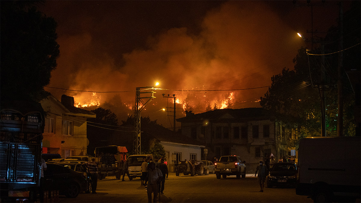 Sakarya'da orman yangını büyüyor! Bir mahalle tahliye edildi