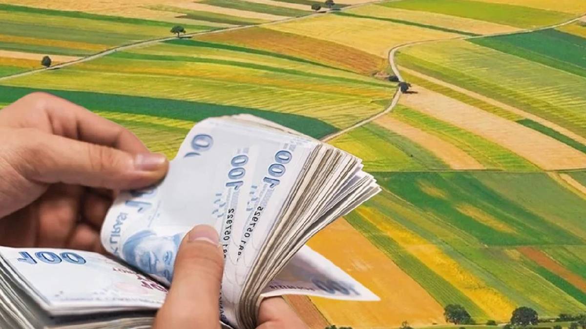 Bu fiyata kiralık ev bile yok! Milli Emlak’tan sevindiren fırsat: 5.000 TL’ye toprak sahibi olun