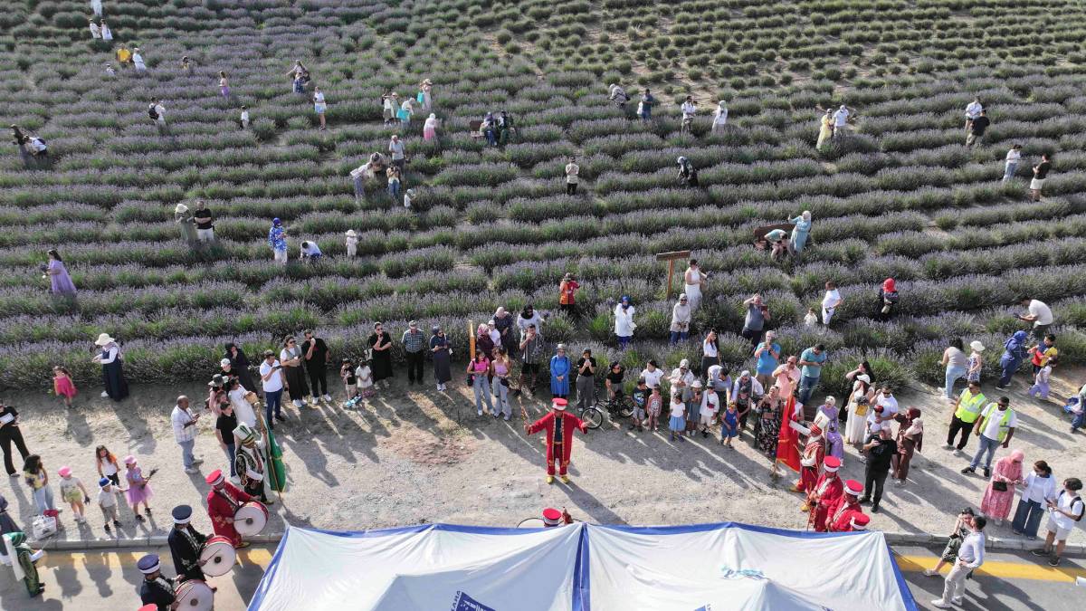 Başkentliler, ABB’nin Lavanta Hasat Şenliği’nde buluştu