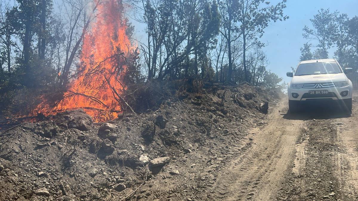 Büyükşehir ekiplerinden Bilecik’te alevlerle mücadele