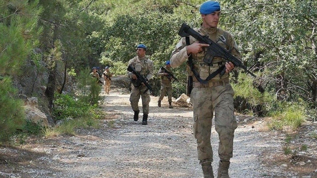 Fiyatı altınla yarışıyor, başında jandarma bekliyor! Ne gecesi var ne de gündüzü… Hasat öncesi sıkıca korunuyor