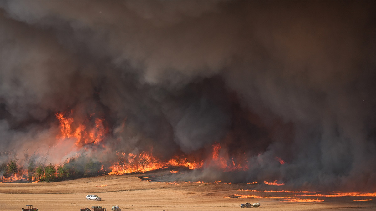 Sakarya’daki orman yangını 24 saati aştı: Alevler Bilecik’e yaklaştı