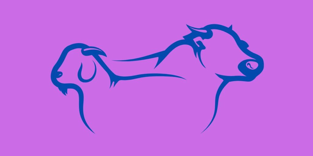 Kişilik testi: Kararlarınızda temkinli mi yoksa cesur mu olmaya daha yatkınsınız? Hemen ortaya çıkarın