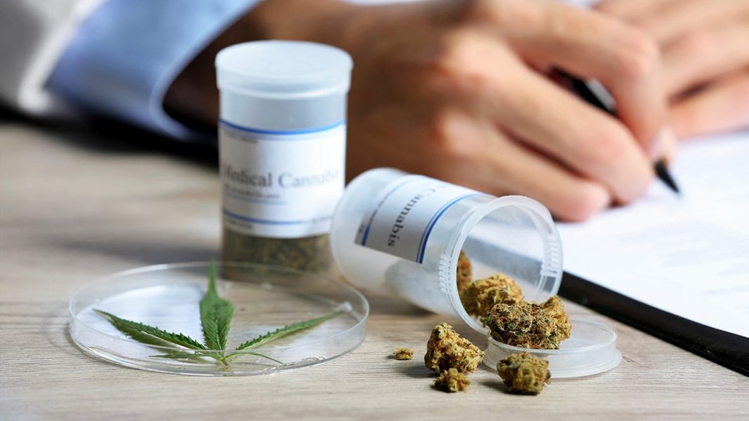 Uzmanlardan ve muhalefetten iktidara 'uyuşturucu' tepkisi: Bağımlıların yüzde 80’i kenevir tüketiyor ama artık serbest