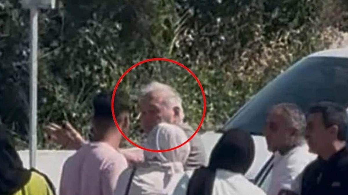 İlber Ortaylı kaza geçirdi