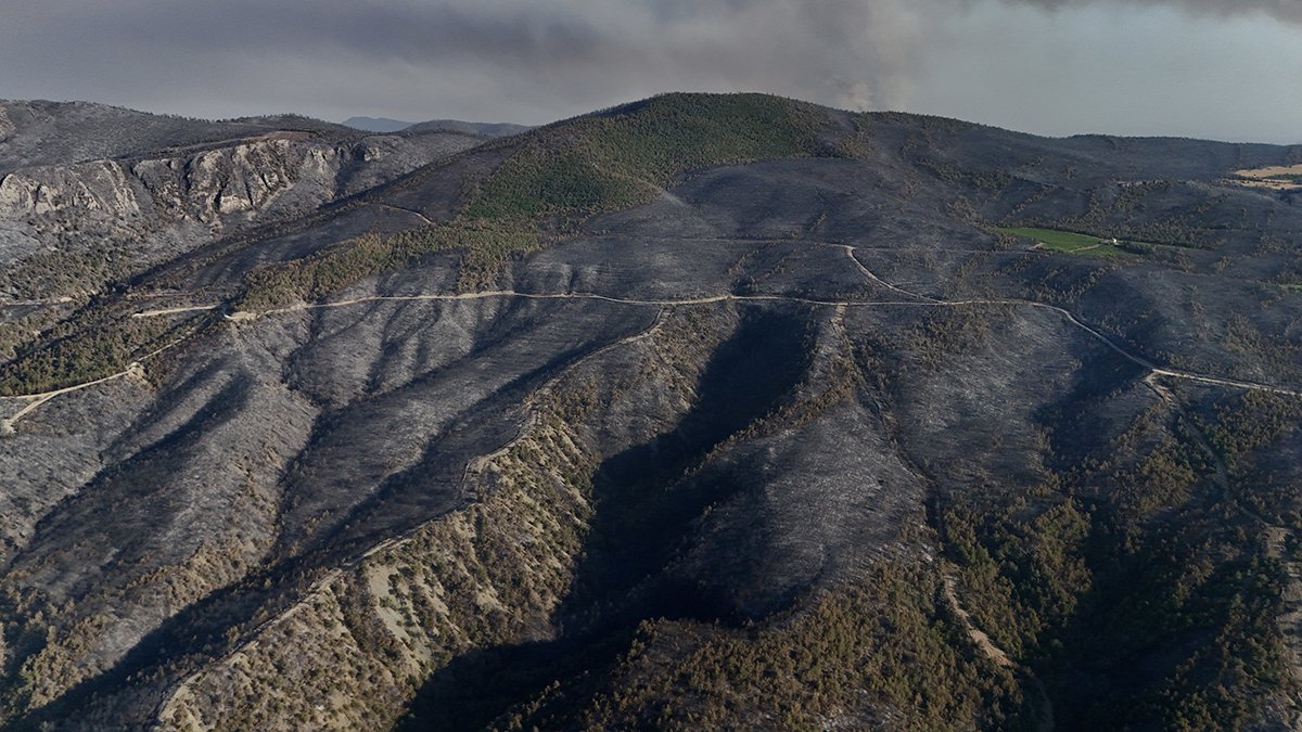 Sakarya'da yürek burkan manzara: Küle dönen alanlar havadan görüntülendi