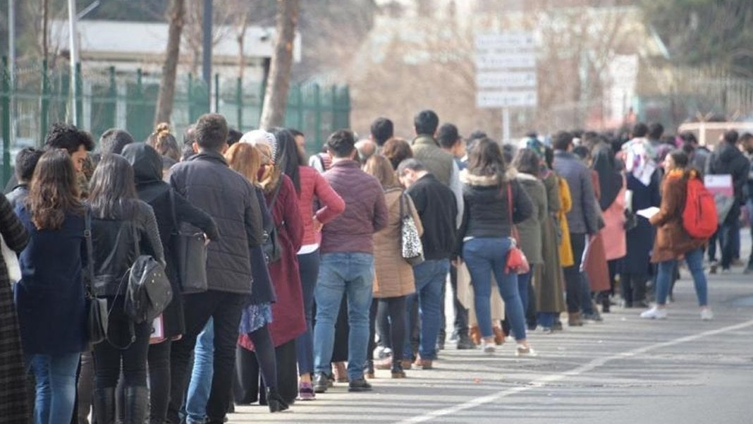 Her 4 üniversite mezunundan 1'i işsiz