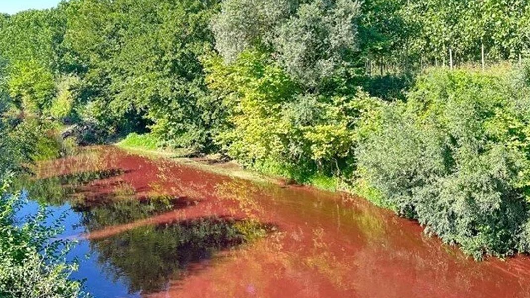 Mudurnu Çayı kızıla döndü