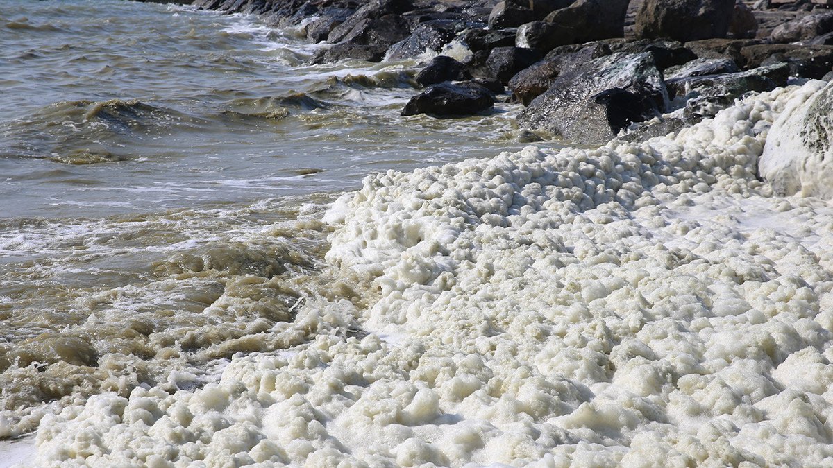 Hatay'da deniz kıyısında müsilaj benzeri tabaka oluştu