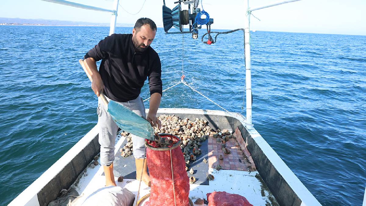 Türkiye’de kimse ağzına sürmüyor, dünya bizden alıyor! Yılın ilk yarısında 4 milyon dolardan fazla kazandırdı