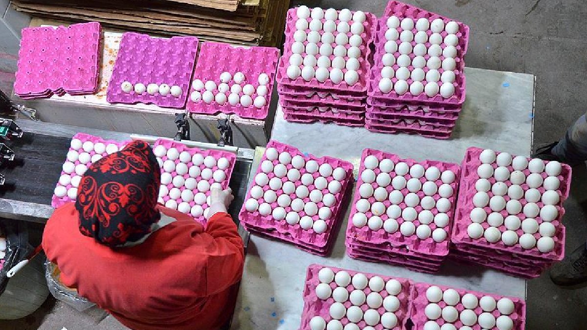 Yeni karar Resmi Gazete’de: Yumurta ihracatında kesinti kaldırıldı