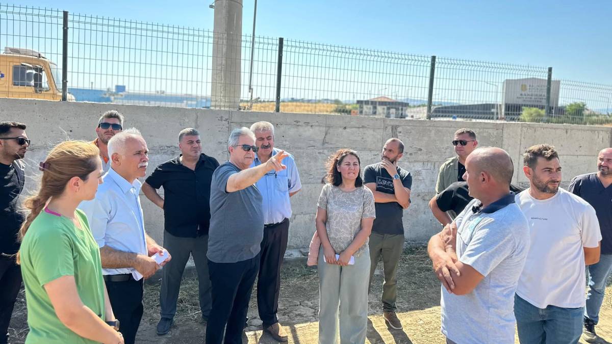 Bandırma Belediyesinden sokaktaki canlar için yeni yaşam alanı