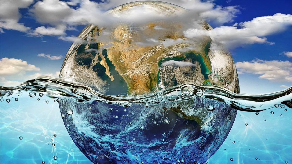 WWF Türkiye: Doğanın bir yılda sunduğu kaynakları yedi ayda tükettik