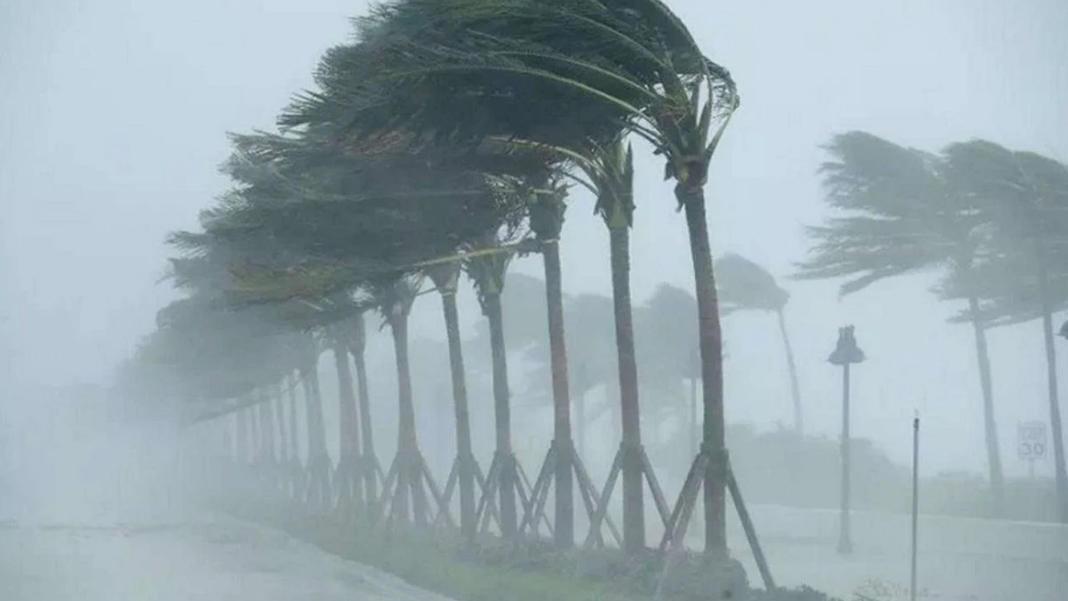 Kuzey ve batıdan esecek: Diyarbakır’da rüzgar alarmı