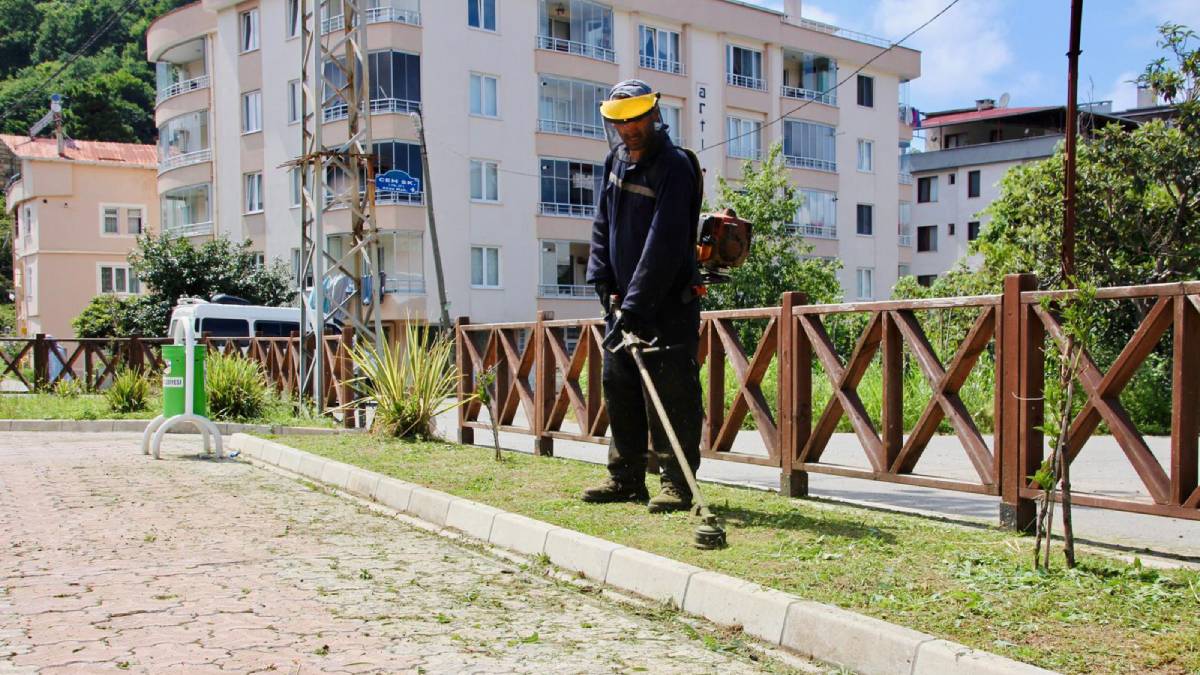 Plajlar Bölgesi’nde kapsamlı ot biçme çalışması yapıldı