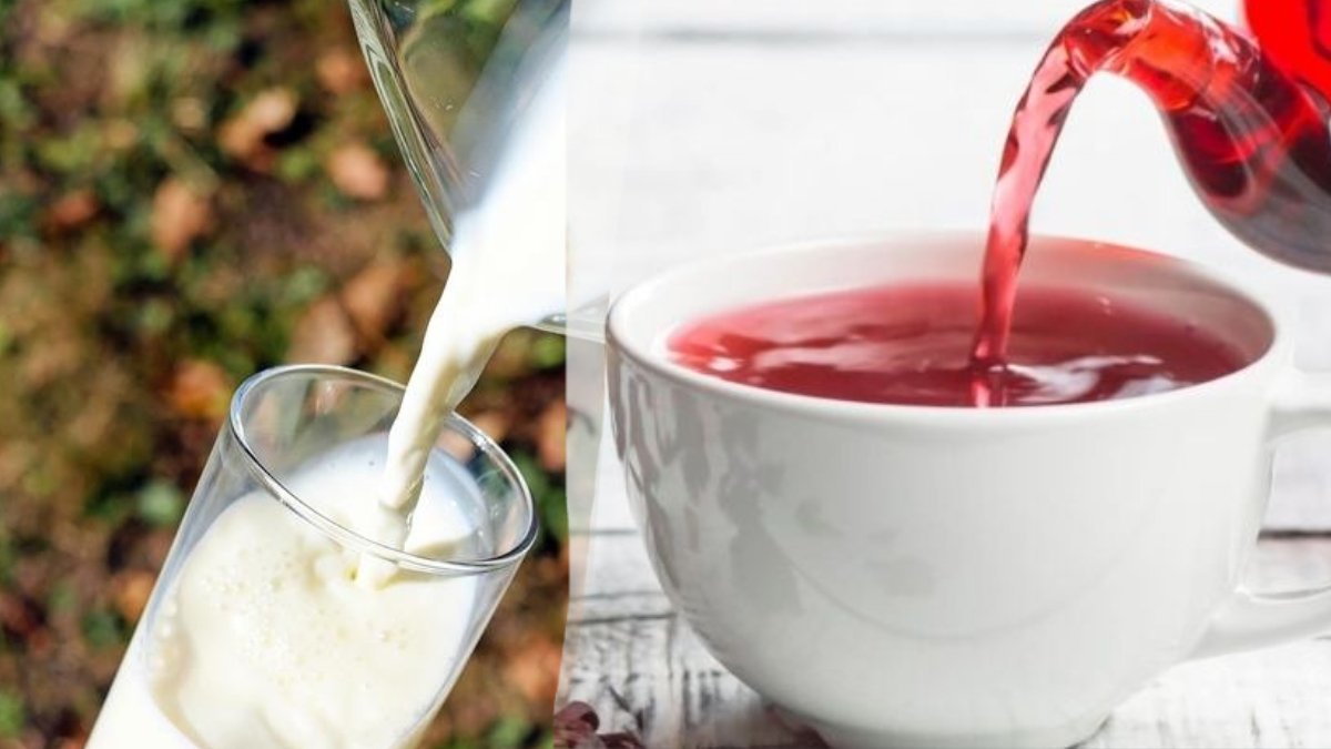 Sütü tahtından edecek keşif: Bu bitkinin bir fincanı, 10 bardak sütten daha güçlü! Kemikleriniz bayram edecek