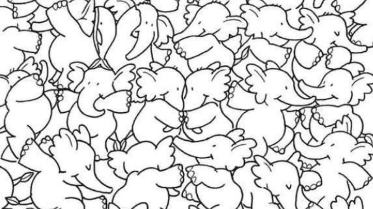 Görsel bir tuzak mı? Görenlerin sadece %1’i ilk bakışta fark ediyor