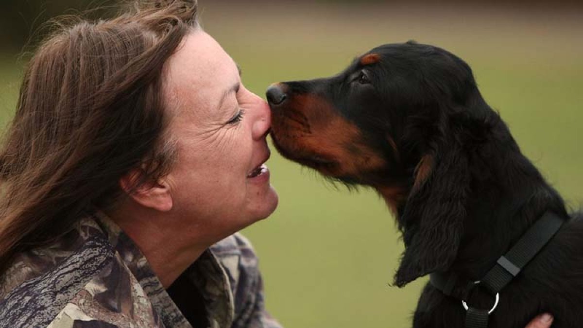 New York'ta köpekler artık yasal olarak aile üyesi sayılacak