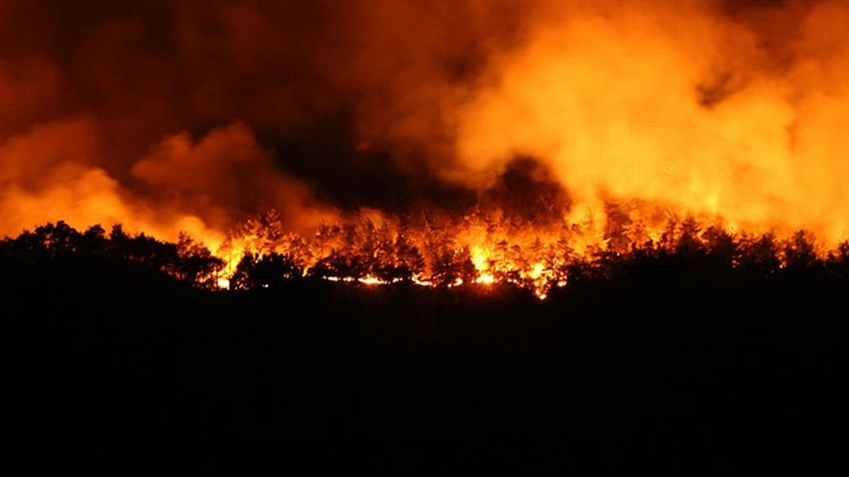 Uzmanlar, raporlar ve resmi veriler aynı yeri işaret ediyor: Orman yangınlarında gözden kaçan neden