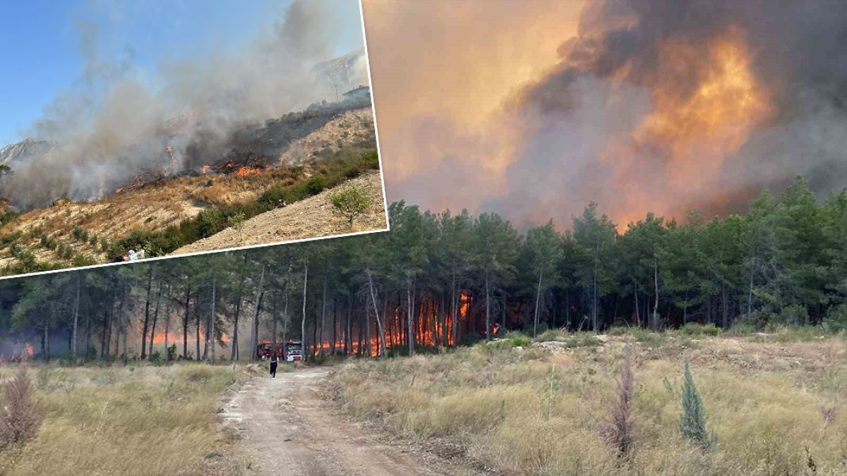 Antalya'da orman yangını: Aksu ve Muratpaşa'da evler tahliye edildi