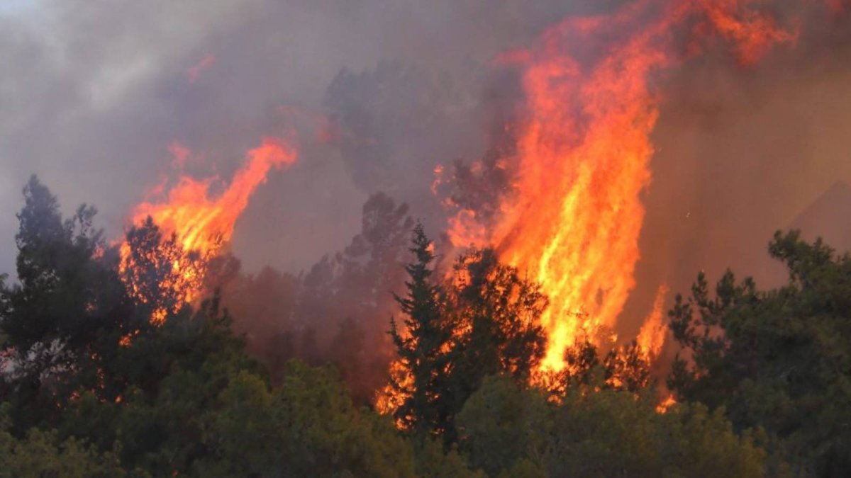 TMMOB Başkanı Koramaz'dan orman yangınları için çağrı: İhmali olanlar hesap versin