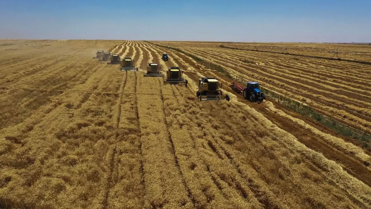 TÜİK'ten 24 yıl sonra tarım sayımı: Uzmanlar endişeli, veriler ne kadar güvenilir?
