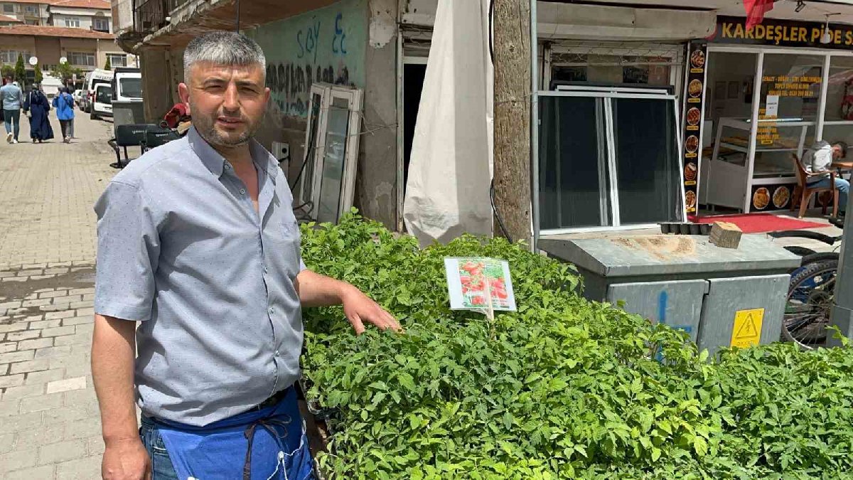 Kendin ek kendin ye! Bahçelerde telaş başladı: Tezgahlarda bir tane bile kalmıyor